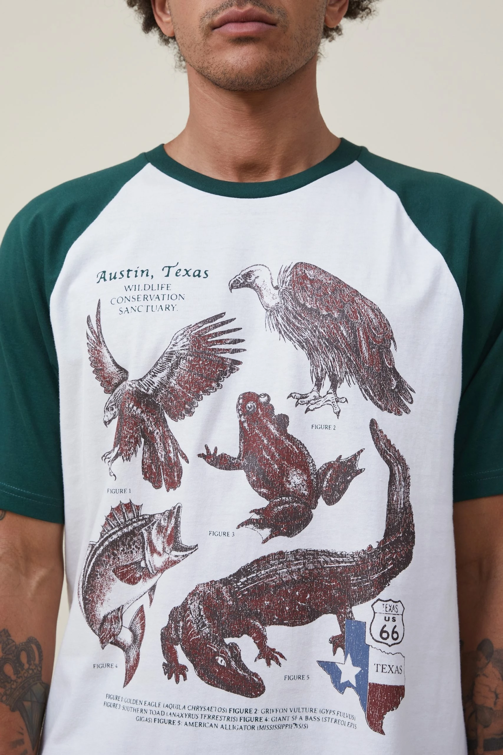 Cotton On Men Premium Loose Fit Souvenir T-Shirt 6 Cotton On Men Premium Loose Fit Souvenir T-Shirt - Image 4