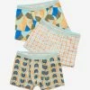 Cotton On Kids Boys 3 Pack Trunks 2 Cotton On Kids Boys 3 Pack Trunks -Cotton Shop 7343918 01 2
