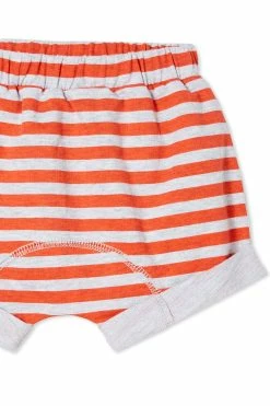 Cotton Shop -Cotton Shop 791923 62 1